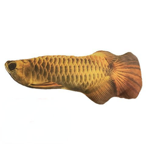 Golden Arowana