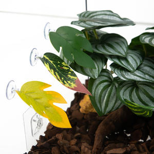 Aquarium Aquarium Aquarium Decoratie <span class=keywords><strong>Betta</strong></span> Splendens Rustbed Rustende Blad Paaien Blad Amfibie Reptiel Voederblad - Product Image 3