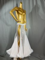 Nouvelle conception de jupes longues fendues à sequins pour la danse du ventre, robe sexy de danse du ventre, costume pour femmes, robe d'entraînement, vêtements de scène