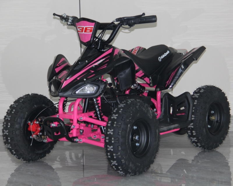 Mini Quad ATV 36V 4 Wheel