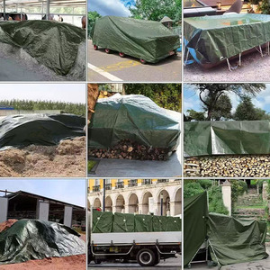 <span class=keywords><strong>Bâche</strong></span> PE 4x5m imperméable verte et argentée, <span class=keywords><strong>grande</strong></span> <span class=keywords><strong>bâche</strong></span> <span class=keywords><strong>de</strong></span> sol pour camping, tente pour mobilier <span class=keywords><strong>de</strong></span> jardin - Product Image 6