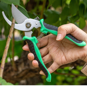 Forbici <span class=keywords><strong>da</strong></span> Potatura Manuali Multifunzione in Acciaio Inossidabile di Alta Qualità con Manico in Plastica Resistente per Rami Grossi e Alberi <span class=keywords><strong>da</strong></span> <span class=keywords><strong>Frutto</strong></span> OEM - Product Image 4