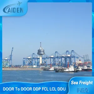 Seetransport Lcl Fcl Container Qingdao Shenzhen Yiwu Versand China Container Linien nach Saudi-Arabien Philippinen Cipper Kamerun