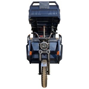 Tricycle électrique 1000W personnalisable avec logo, cadre ouvert 60V, idéal pour la livraison en petite entreprise - Meilleures ventes - Product Image 4