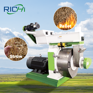 Richi nhà máy trực tiếp 1-2T/h Paddy rơm PELLET Máy nhà máy - Product Image 1
