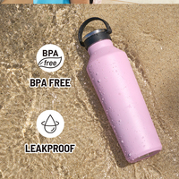 Bouteille d'eau sport isolée à double paroi en acier inoxydable de 500 ml pour la randonnée et les activités de plein air