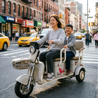 Tricycle électrique intelligent haut de gamme et écologique, facile à manier et plein de plaisir, un assistant indispensable pour votre famille