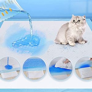 Ventes en gros OEM de coussinets d'entraînement jetables pour chiens en tissu non tissé - Product Image 4