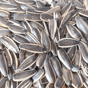 גרעיני חמניות בטעם מקורי פרימיום, חטיף בריא, פריך ומשביע, ללא תוספים - Product Image 2