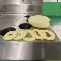 Dq Guangzhou Daqiao Industriële Commerciële Vers Fruit Snijmachine Papaja Verwerking Productielijn Motor Industriële Papaja Snijden