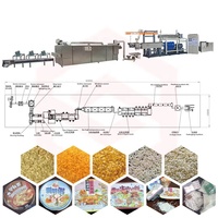 Machine à faire du porridge instantané entièrement automatique pour la nutrition Acceptant la farine de blé le maïs le diesel le gaz l'électricité Nouveau