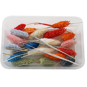 YONGQIN Kit di <span class=keywords><strong>Fiori</strong></span> Essiccati Eterni per Resina Epossidica, Materiali per Creazione di Candele e Cornici Fotografiche Fai-da-Te - Product Image 4