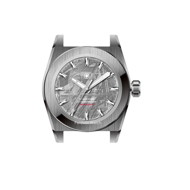 Custom Made Stainless Steel Automatic Wrist Watch Applied Switzerland BGW9 Luminous Mechanical Watch with Meterorite Dial