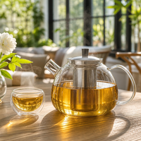 Théière en verre borosilicate avec infuseur en acier inoxydable, résistante à la chaleur, bouilloire électrique de qualité alimentaire, base classique, ensemble à thé pour les amateurs de thé