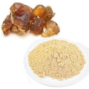 Extracto de Guggul en Polvo de Alta Calidad, Ingrediente de Resina Derivado de Plantas, Ofrecido a Granel para Alimentos Funcionales, Bebidas y Mezclas Culinarias - Product Image 1