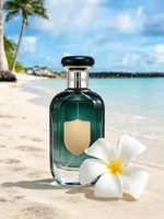 Parfum pour homme oriental boisé épicé de qualité supérieure, vaporisateur de parfum longue durée, eau de parfum, parfum pour homme, vente en gros