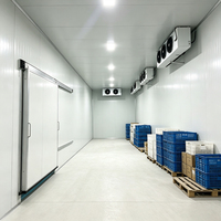 Congelador Comercial de Gran Capacidad y Almacenamiento en Frío con Alimentación CC, Refrigerante R410A, Ahorro de Energía, Habilitado para IoT, Almacenamiento a Baja Temperatura