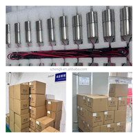 GM25-370 Motor DC 12V 24V Bergegas dengan Roda Gigi Diameter 25mm Poros 4mm Mini Kecepatan Rendah Torsi Tinggi untuk Robot Tirai Pintar