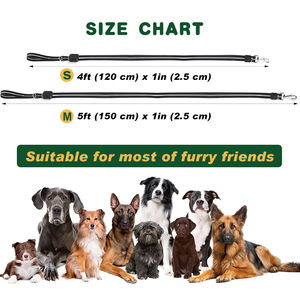 Correa de Perro LED Recargable, Impermeable IPX5, de PVC, Personalizable, con <span class=keywords><strong>6</strong></span> Colores LED y 9 Modos para Paseos Nocturnos - Product Image 4