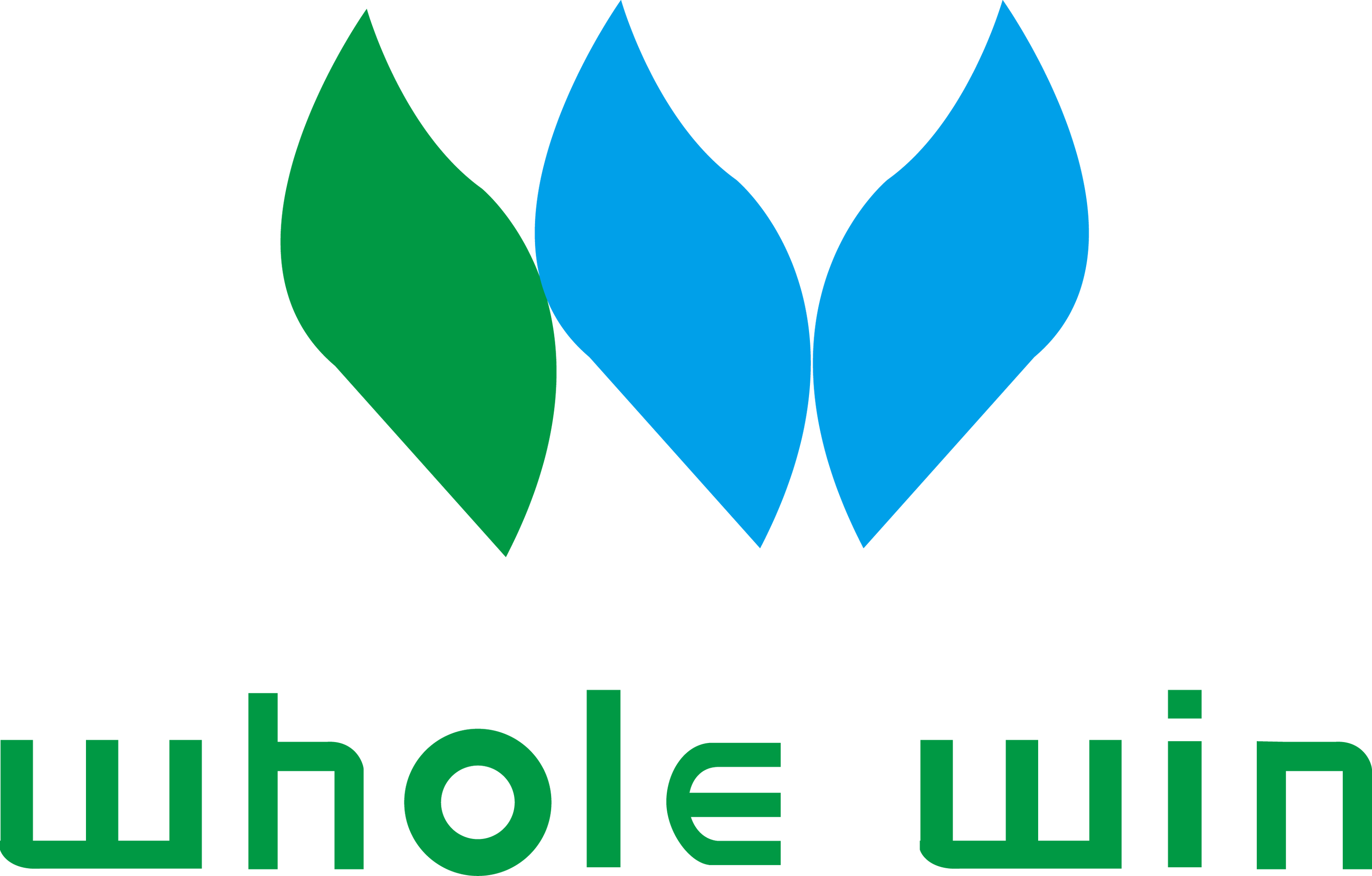 Whole Win (beijing) Materials Sci.& Tech. Co., Ltd.