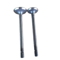 Piezas de motor de coche, válvula de motor 9002816 9002817 para Wungling Chevrolet N200 N300 N300P Sail - Product Image 2