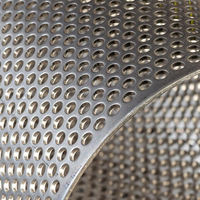 Bordure Métallique Perforée Ronde et Sûre pour la Manipulation Quotidienne et la Décoration