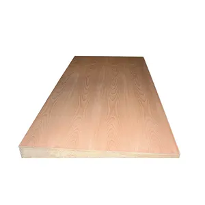 1220mm x 2440mm 18mm AA iki kez sıcak basın E1 tutkal olmadan avrupa kayın kaplamalı kontrplak knot