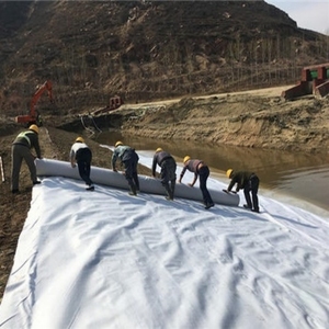 Nhà Máy Giá Vải Địa Kỹ Thuật Vật Nuôi <span class=keywords><strong>PP</strong></span> Polyester Polypropylene Sợi Ống Sợi Không Dệt Vải Địa Kỹ Thuật Cho Xây Dựng Dự Án - Product Image 6