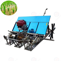 Haute qualité 6 rangées marchant derrière le transplanteur de riz/Paddy Planting Machine Riz Transplanteur