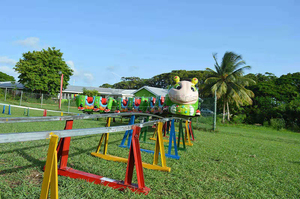 Juegos Parque Ferias Popular <span class=keywords><strong>Tren</strong></span> Electrico  <span class=keywords><strong>Infantil</strong></span>  Con Rieles Vias Para Ninos  Precio Barato - Product Image 6