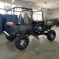 Caiteng Buggy Automatique 200cc/250cc/300cc/350cc 4x4 Électrique/à Essence Mini Jeep Sport Tout-Terrain Homologué pour la Route