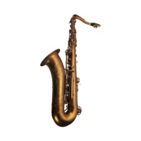 SEASOUND OEM High Quality Tenor Saxophone JYTS113CFMT BB Tone Coffee Matt Finish with Waterproof Case Wind Instrument