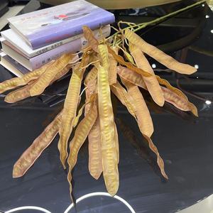 Bean Pod Tianjin Best Customized Dried Everlasting Bean Plant Wedding Mother's Day Decoration Preserved Flower <strong>Bouquet</strong> Bohemian - Product Image 4