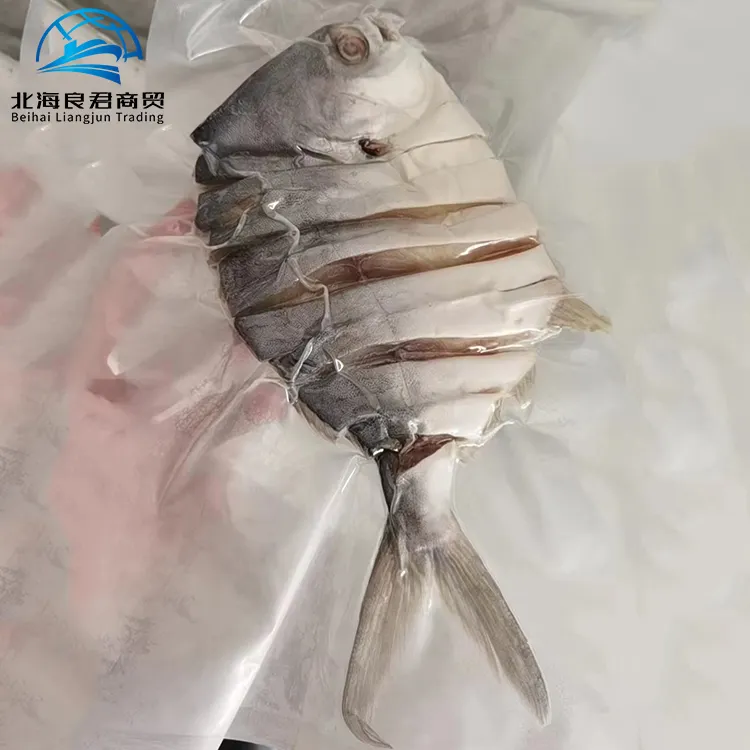 中国のポンフレットシーフード低価格卸売良質冷凍乾燥ゴールデンポンパノ魚