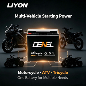 <span class=keywords><strong>Batterie</strong></span> de <span class=keywords><strong>moto</strong></span> DENEL neuve 6DM17 <span class=keywords><strong>12V</strong></span> <span class=keywords><strong>17AH</strong></span> entièrement scellée, sans évaporation d'électrolyte, stockage toutes saisons, tout-terrain, garantie 1 an - Product Image 2