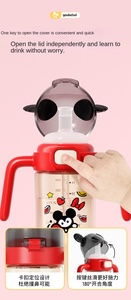 Tazza <span class=keywords><strong>per</strong></span> Bambini in PPSU e PP con Cannuccia in Silicone, Personalizzabile OEM ODM, Anti-Colica, Senza BPA, Grado Alimentare, Flusso Lento <span class=keywords><strong>per</strong></span> l'Alimentazione del Neonato - Product Image 4