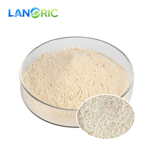 Yüksek Kaliteli Gıda Sınıfı Doğal <span class=keywords><strong>Psyllium</strong></span> Tohumu Kabuğu Ekstresi <span class=keywords><strong>Psyllium</strong></span> Kabuğu Tozu <span class=keywords><strong>Psyllium</strong></span> Tohumu Kabuğu Ekstresi Tozu - Product Image 2