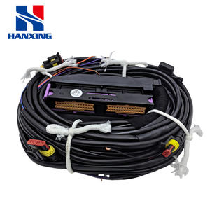 Sistema di controllo elettrico completo a 6 cilindri differenziale di pressione a 6 cilindri per autoveicoli per <span class=keywords><strong>conversione</strong></span> carburante-gas AC300 - Product Image 3