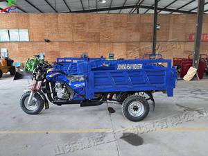 Tricycle à moteur essence Cargo 250cc haute puissance 1800kg capacité de charge moteur refroidi à l'eau outil de Transport de cargaison/agricole - Product Image 3