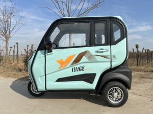 Tricycle électrique cargo pour adultes - Carrosserie fermée, 3 passagers, grande capacité de charge - Product Image 2