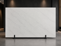 Nouvelles dalles de marbre blanc Aristonia pour îlots de cuisine, murs de salle de bain, revêtements de sol de hall, plans de travail de salle de bain et panneaux muraux à motifs.
