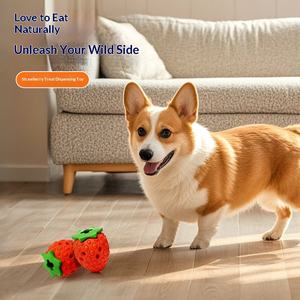 Jouet à mâcher en caoutchouc pour chien, design mignon de fraise et de fruit du dragon, écologique, vente en gros - Product Image 2
