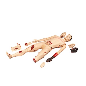 HC-S037 Geavanceerde Wondzorg Verpleegkundige Opleiding Medische Simulatie Onderwijs Traumamodellen In Goede Prijs - Product Image 3