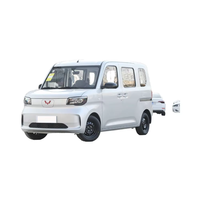 Nuevo modelo Wuling Zhiguang New Energy Electric Mini Van