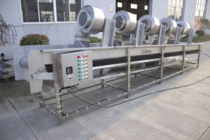 Machine industrielle de séchage des fruits et légumes, élimination de l'eau, traitement des fruits et légumes, sécheuse de fruits et légumes - Product Image 5