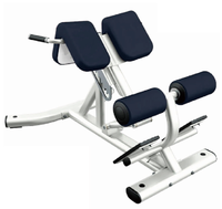 Banc d'extension du dos Chaise romaine 45 degrés Hyperextension Extension du dos réglable Banc d'entraînement Gym Fitness Musculation