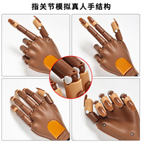 Modèle de main d'entraînement pour ongles, amovible, pour manucure DIY, avec articulations des doigts, pour la pratique des ongles en acrylique, mains de prothèse