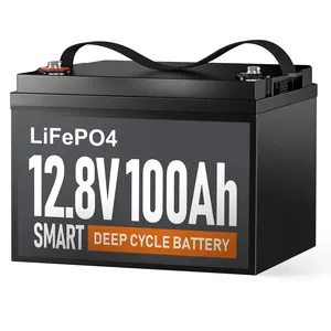 US Stock 12v 100ah Lifepo4バッテリーパック12.8V200Ah 300ah Lifepo4RVキャンプ用バッテリーソーラーストレージEVボートマリン