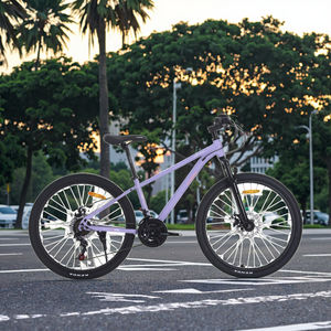 Vélo adulte 2025, nouveau modèle, cadre Spider-Man, 24/26/27,5 pouces, Zhishang 24S, freins à disque Tuolan, fourche à suspension, jantes en aluminium épais, VTT - Product Image 5