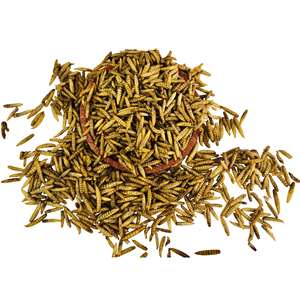 Larves de Mouches Soldat Noires Séchées en Vrac de Qualité Alimentaire 100% Naturelles – Aliment Sain et Durable pour Oiseaux - Product Image 4